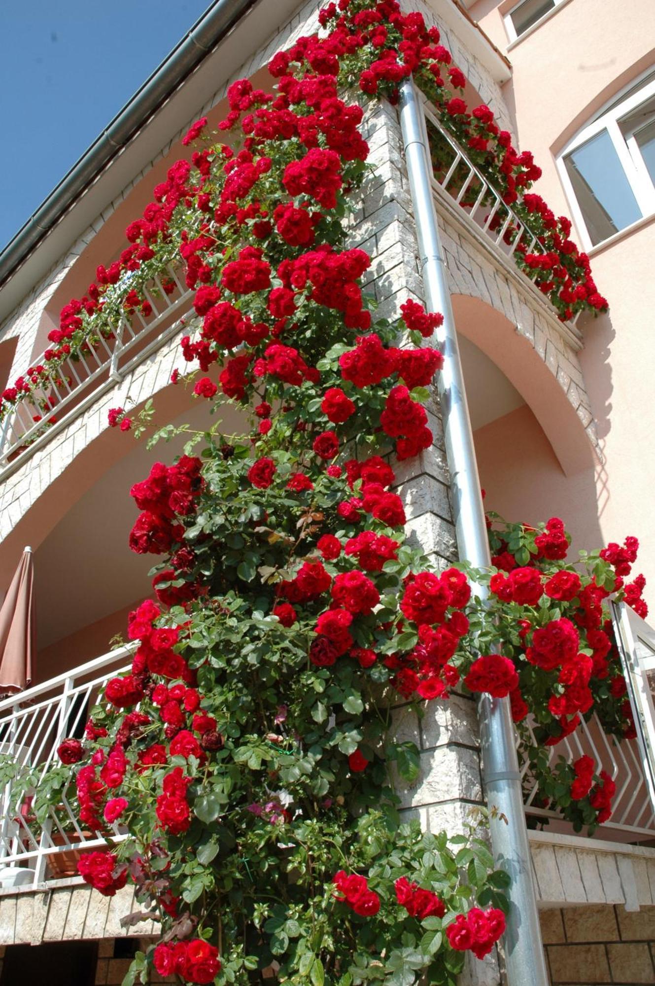 House Maric Poreč Exterior foto